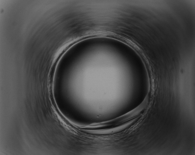 X0000051861430200507012329