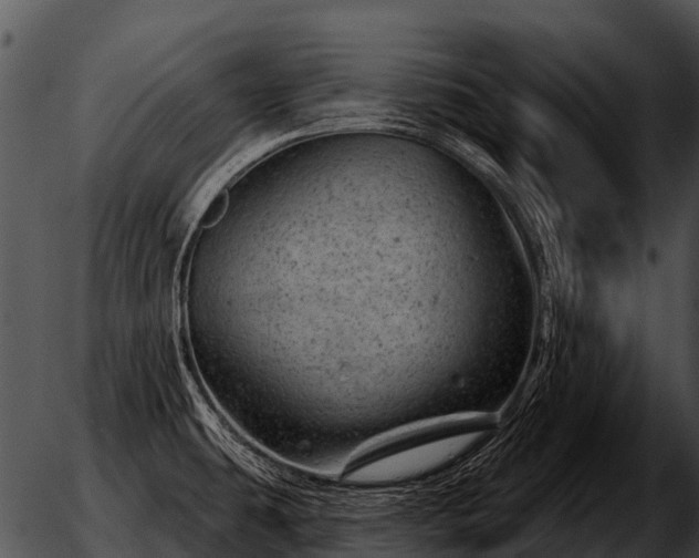 X0000051861431200507012329