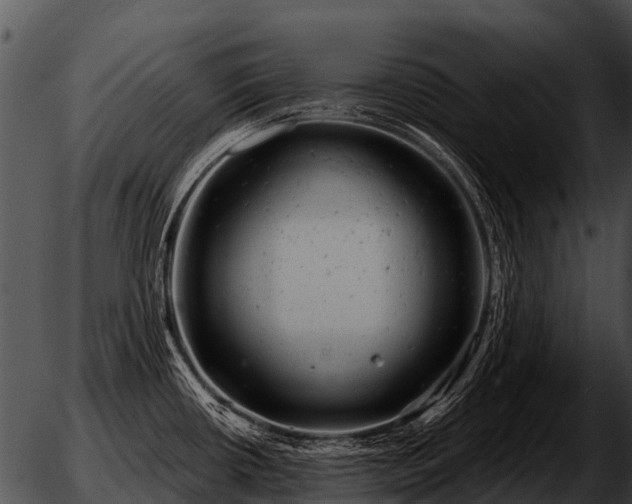 X0000051861434200507012329