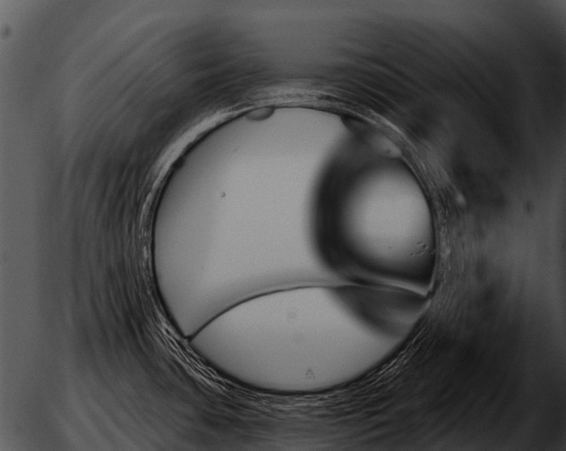 X0000051861435200507012329