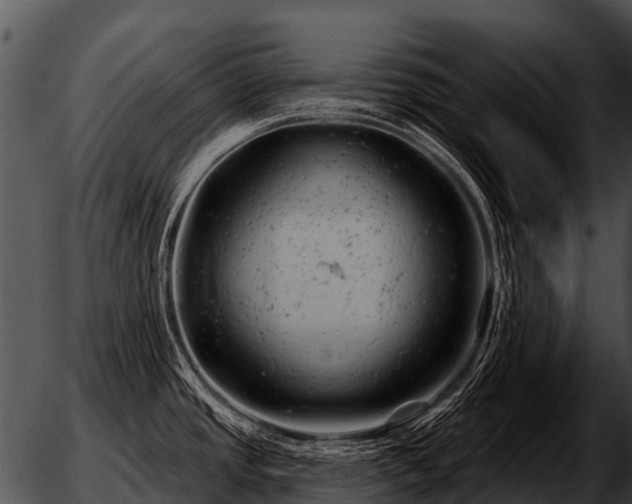 X0000051861437200507012329