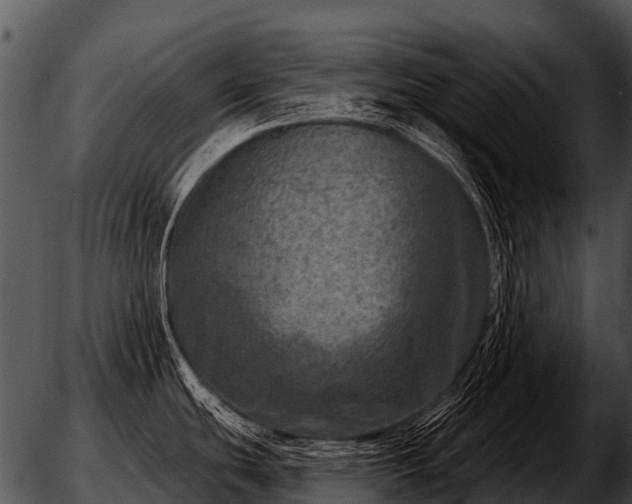 X0000051861439200507012329