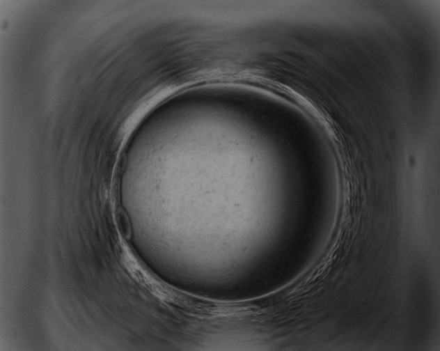 X0000051861440200507012329