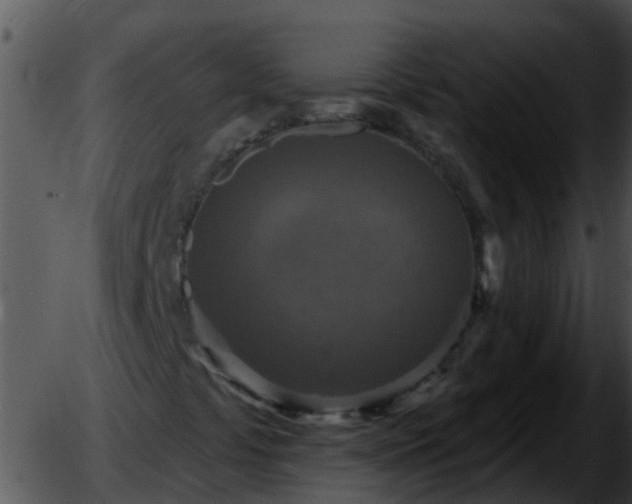 X0000051861441200507012329