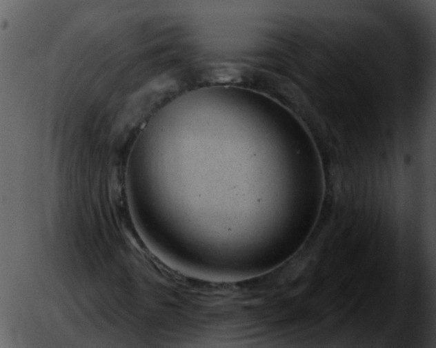 X0000051861442200507012329