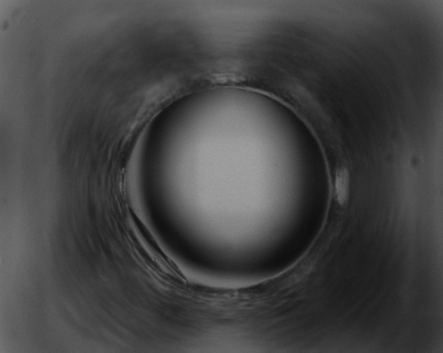 X0000051861444200507012328