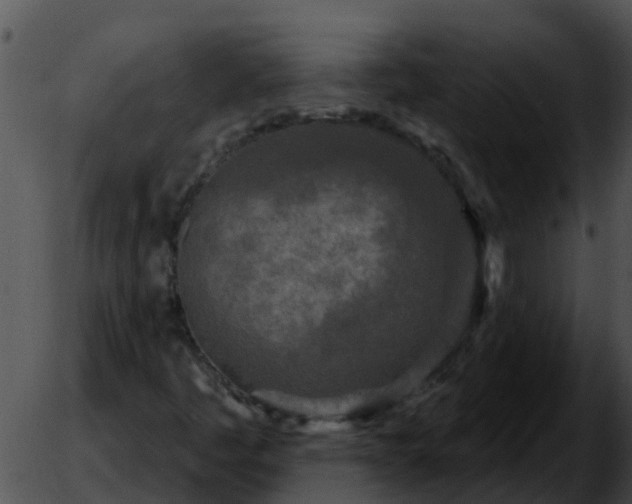 X0000051861445200507012328