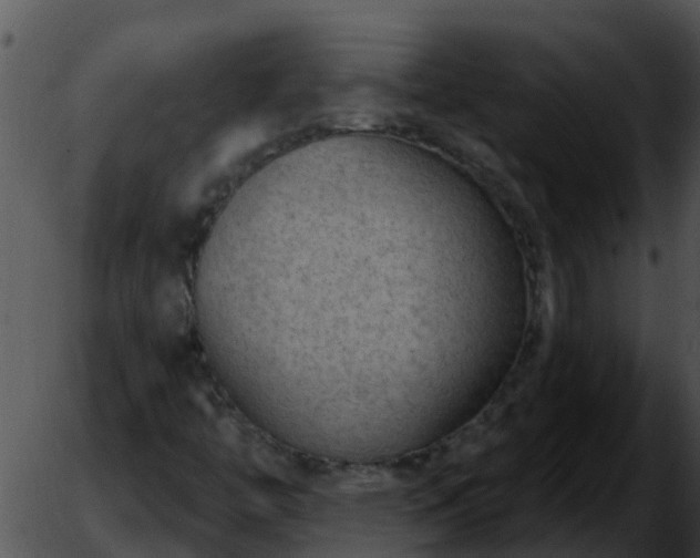 X0000051861446200507012328