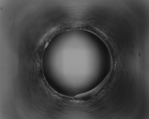 X0000051861447200507012328