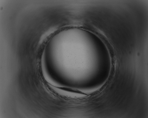 X0000051861448200507012328