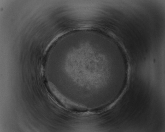 X0000051861449200507012328