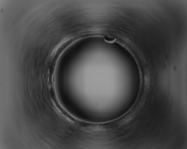 X0000051861450200507012328