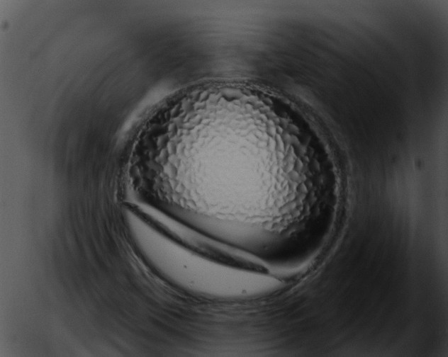 X0000051861451200507012328