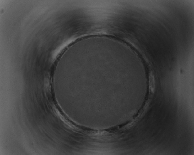 X0000051861452200507012328