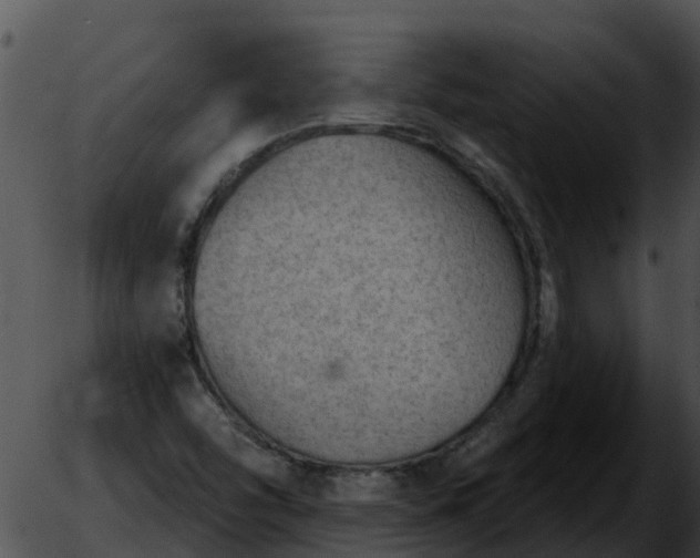 X0000051861454200507012328