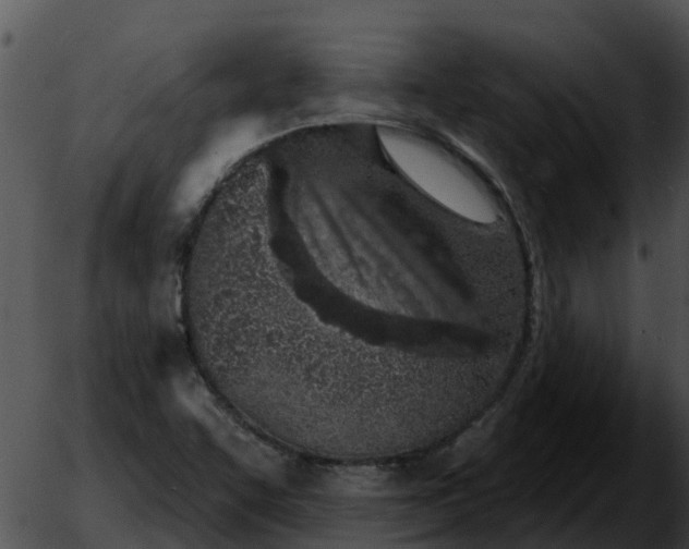 X0000051861455200507012328