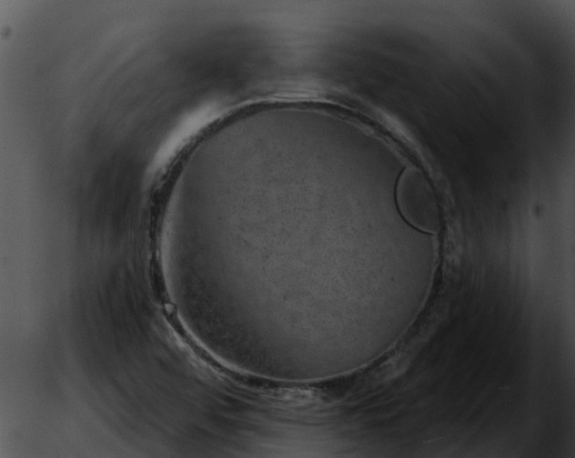 X0000051861456200507012328