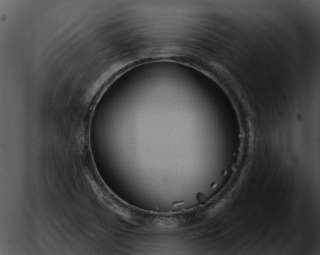 X0000051861457200507012328