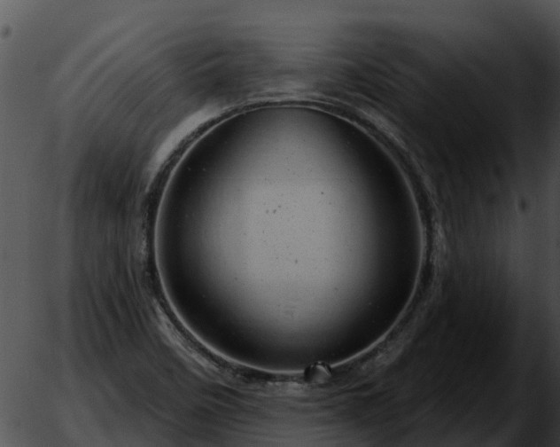 X0000051861458200507012328