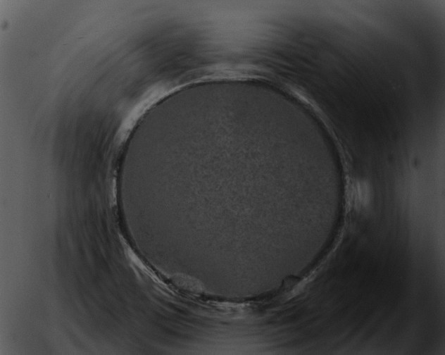 X0000051861459200507012328