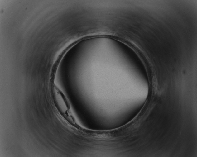 X0000051861460200507012328