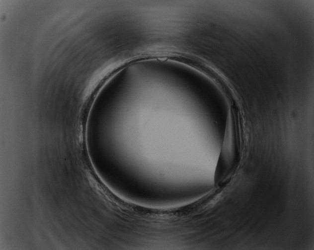 X0000051861461200507012328