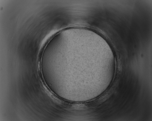 X0000051861462200507012328