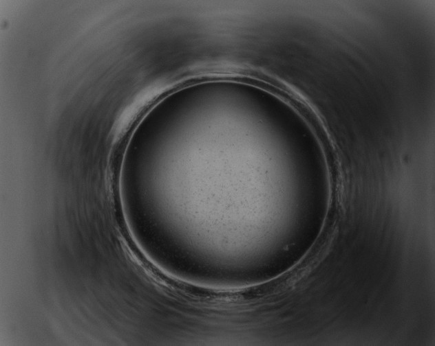 X0000051861464200507012328