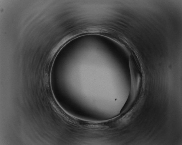 X0000051861465200507012328