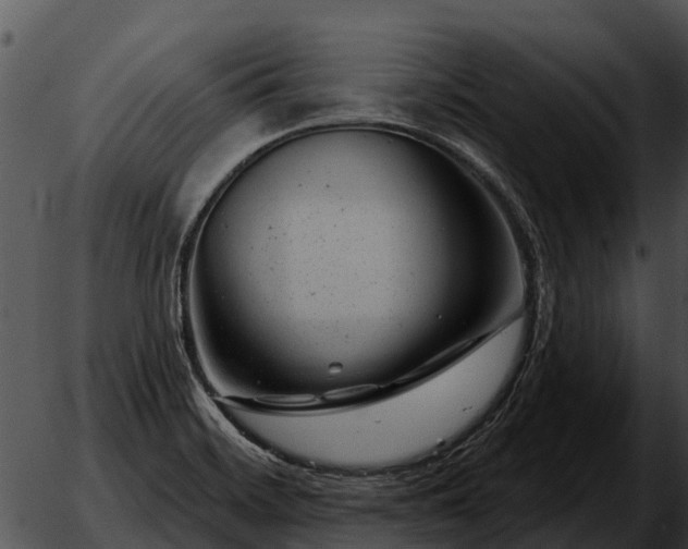 X0000051861468200507012328