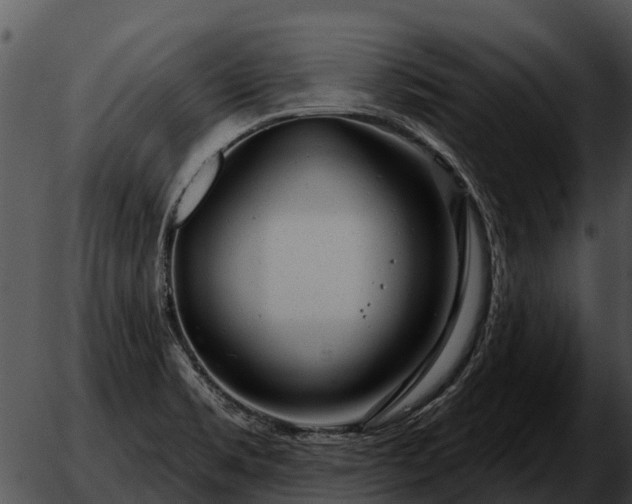 X0000051861469200507012328