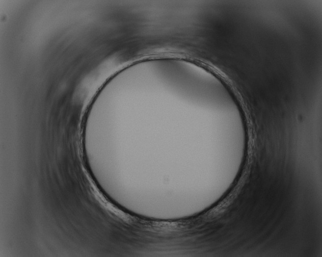 X0000051861470200507012328