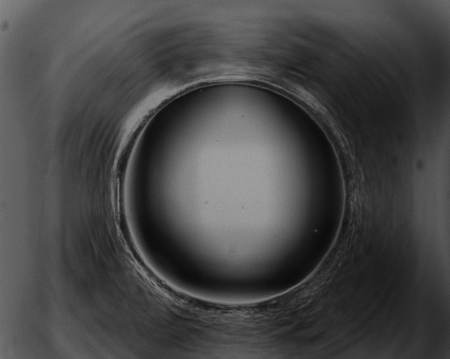 X0000051861472200507012328