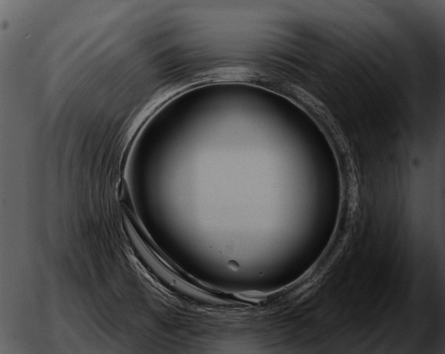 X0000051861473200507012328