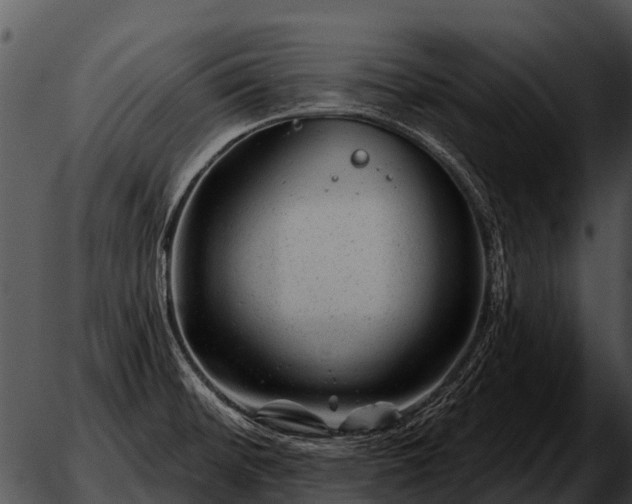 X0000051861476200507012328