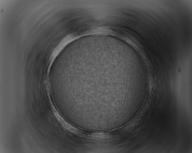 X0000051861478200507012328