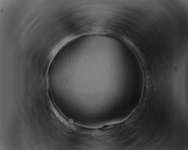 X0000051861479200507012328