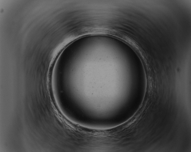 X0000051861480200507012328