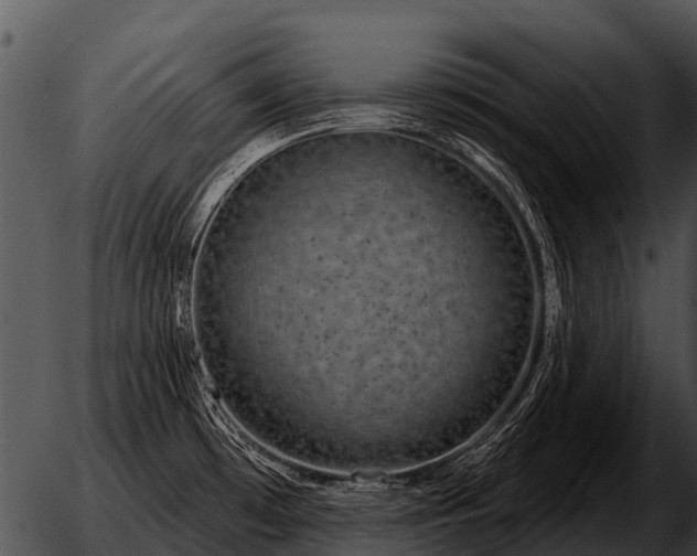 X0000051861481200507012328