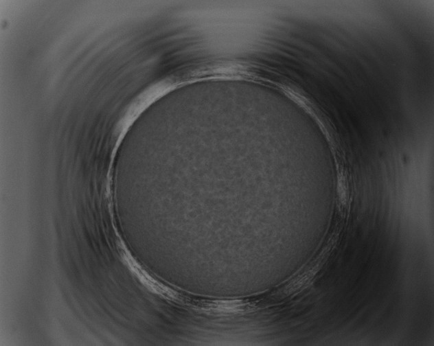 X0000051861482200507012328