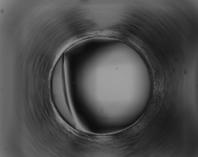 X0000051861483200507012328