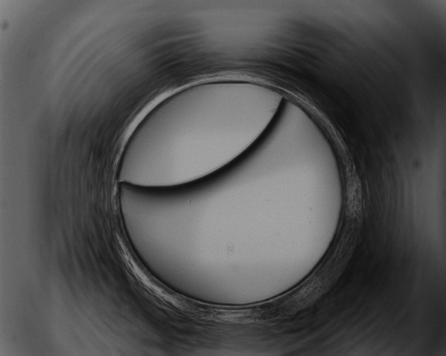 X0000051861484200507012328