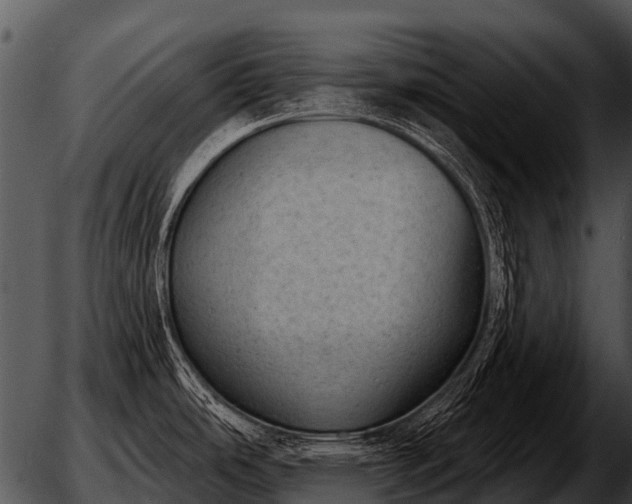 X0000051861486200507012328