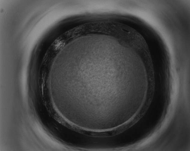 X0000051861487200507012328