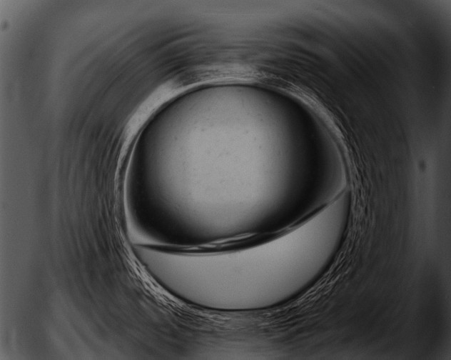 X0000051861488200507012328