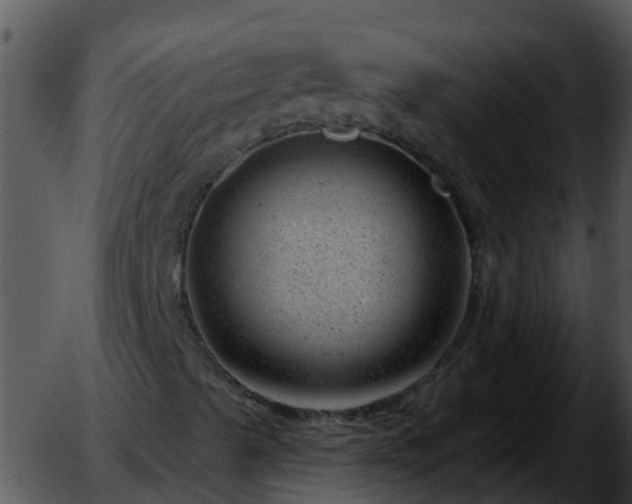 X0000051861489200507012327