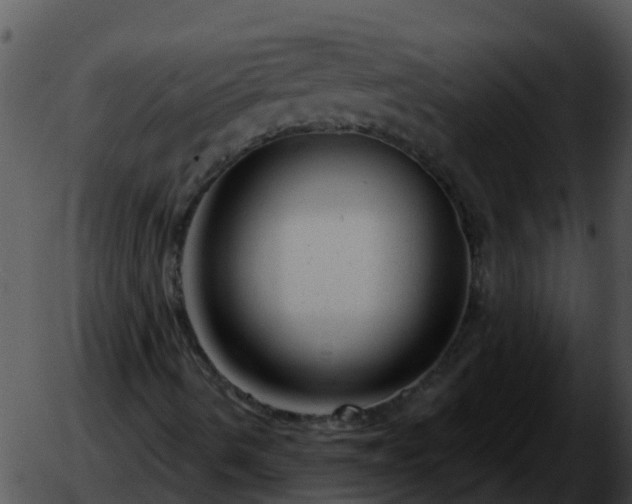 X0000051861490200507012327