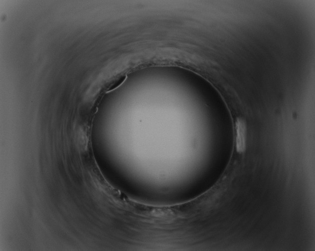 X0000051861491200507012327