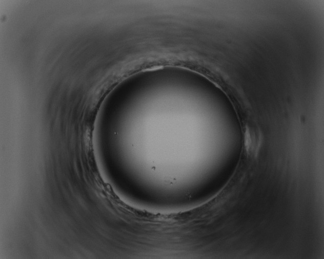 X0000051861492200507012327