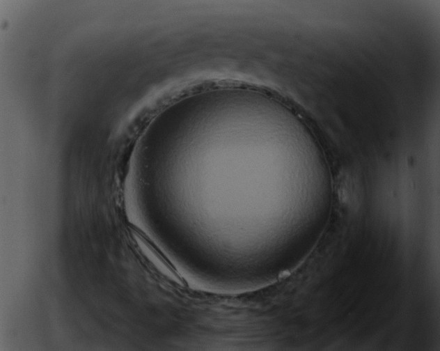 X0000051861495200507012327